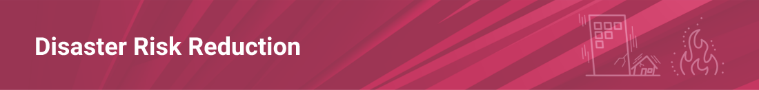 Disaster Risk Reduction